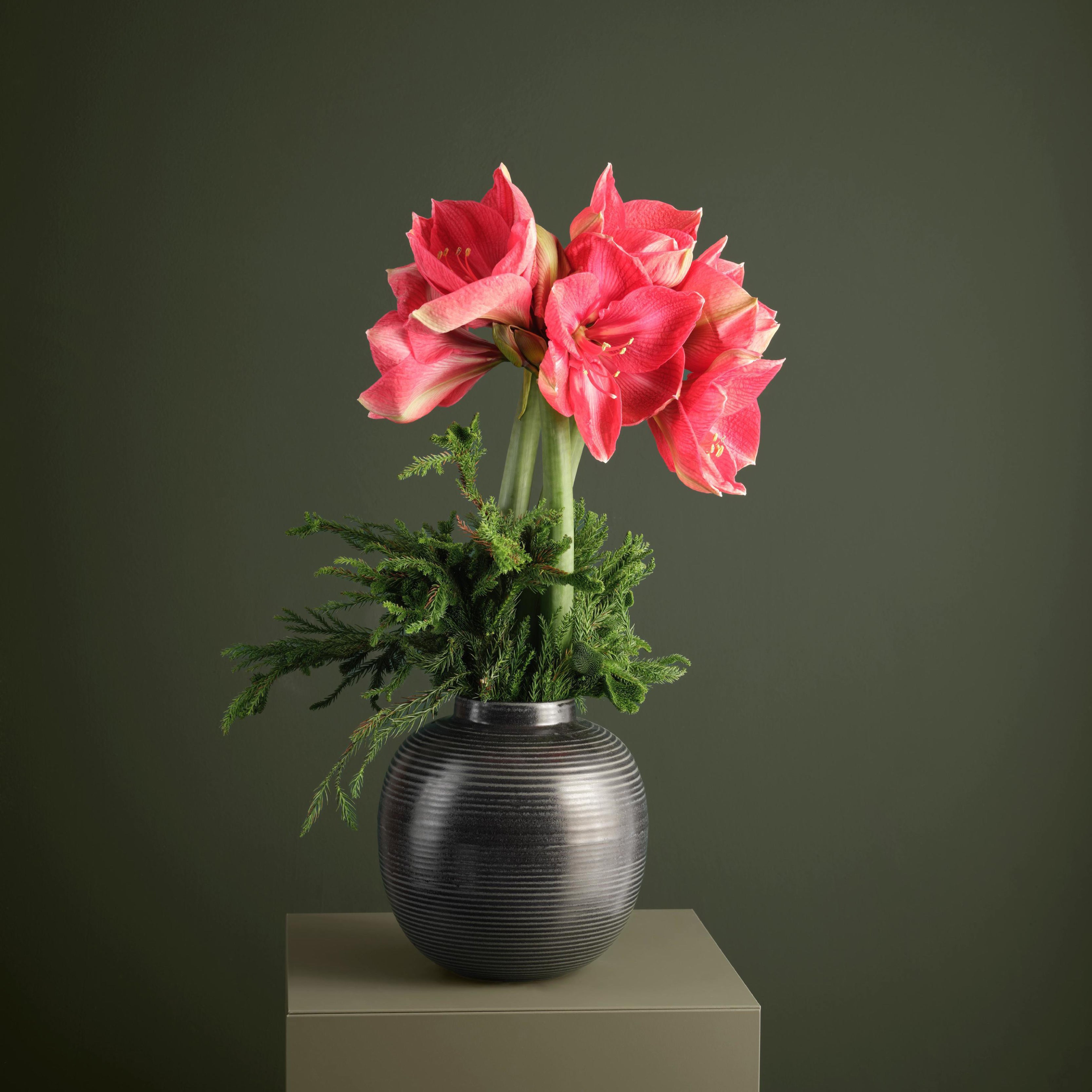 Japandi Vase H29cm / Living Talk Decor リビングトークデコール