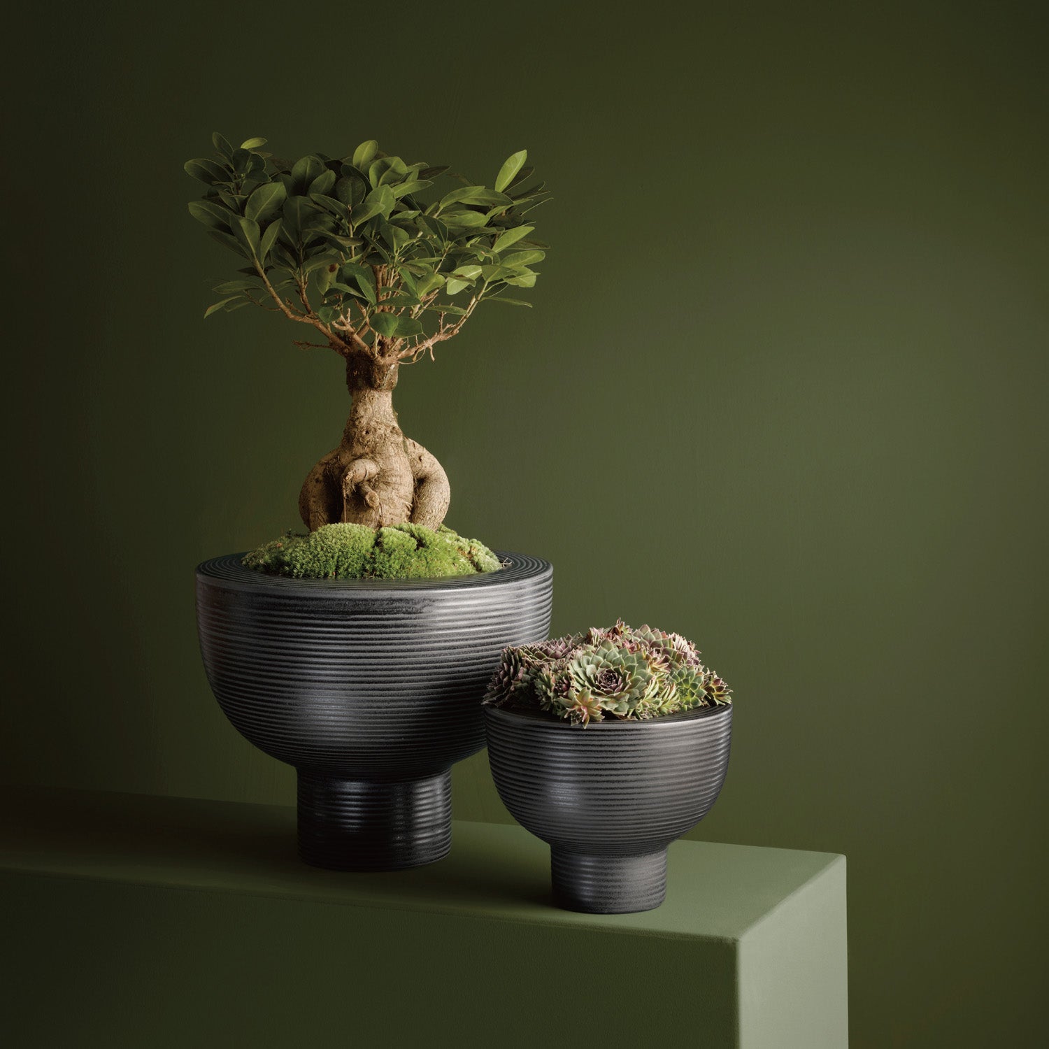 ASA_Midoro_Planter_image-1.jpg