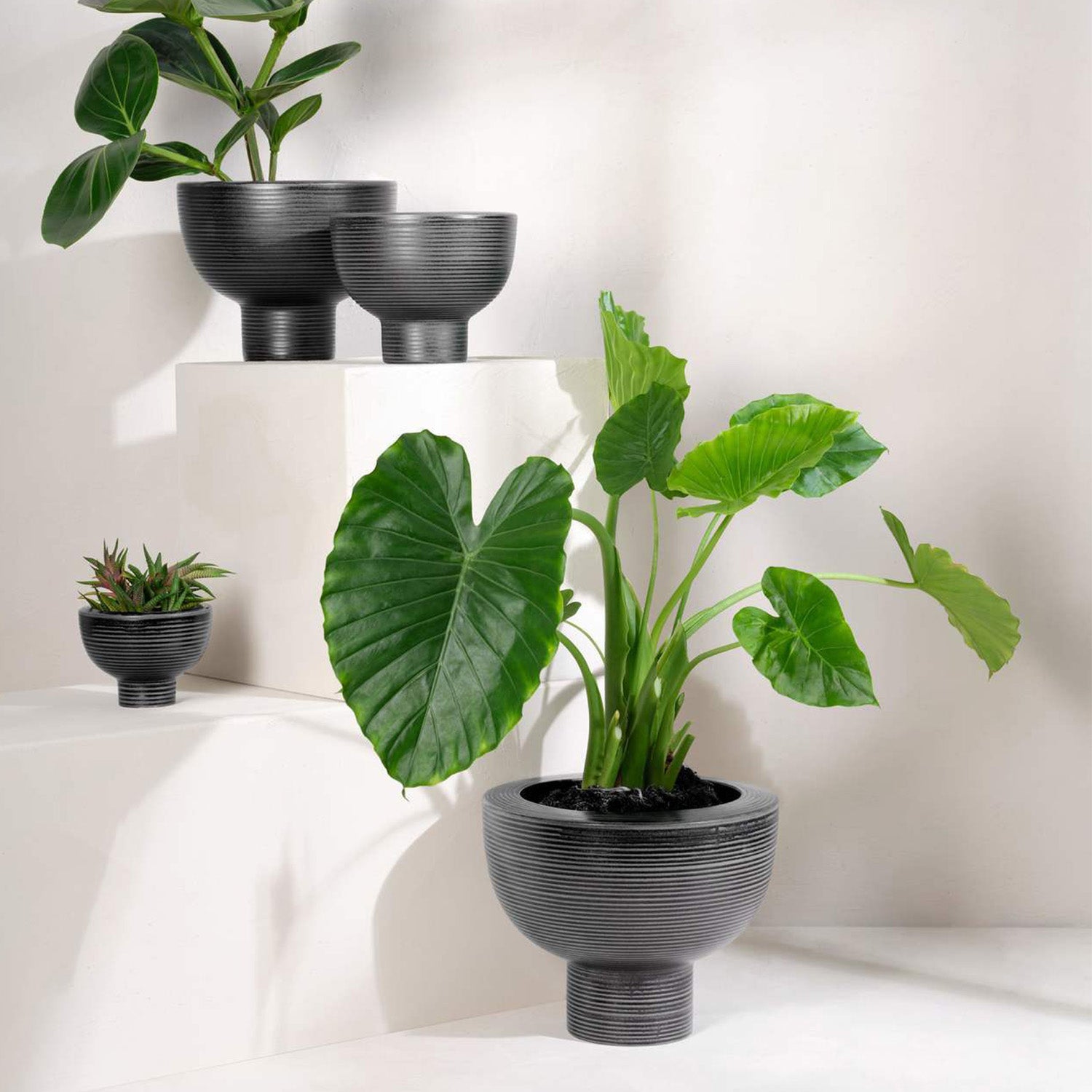 Midoro Planter On Foot H10cm / Living Talk Decor リビングトーク