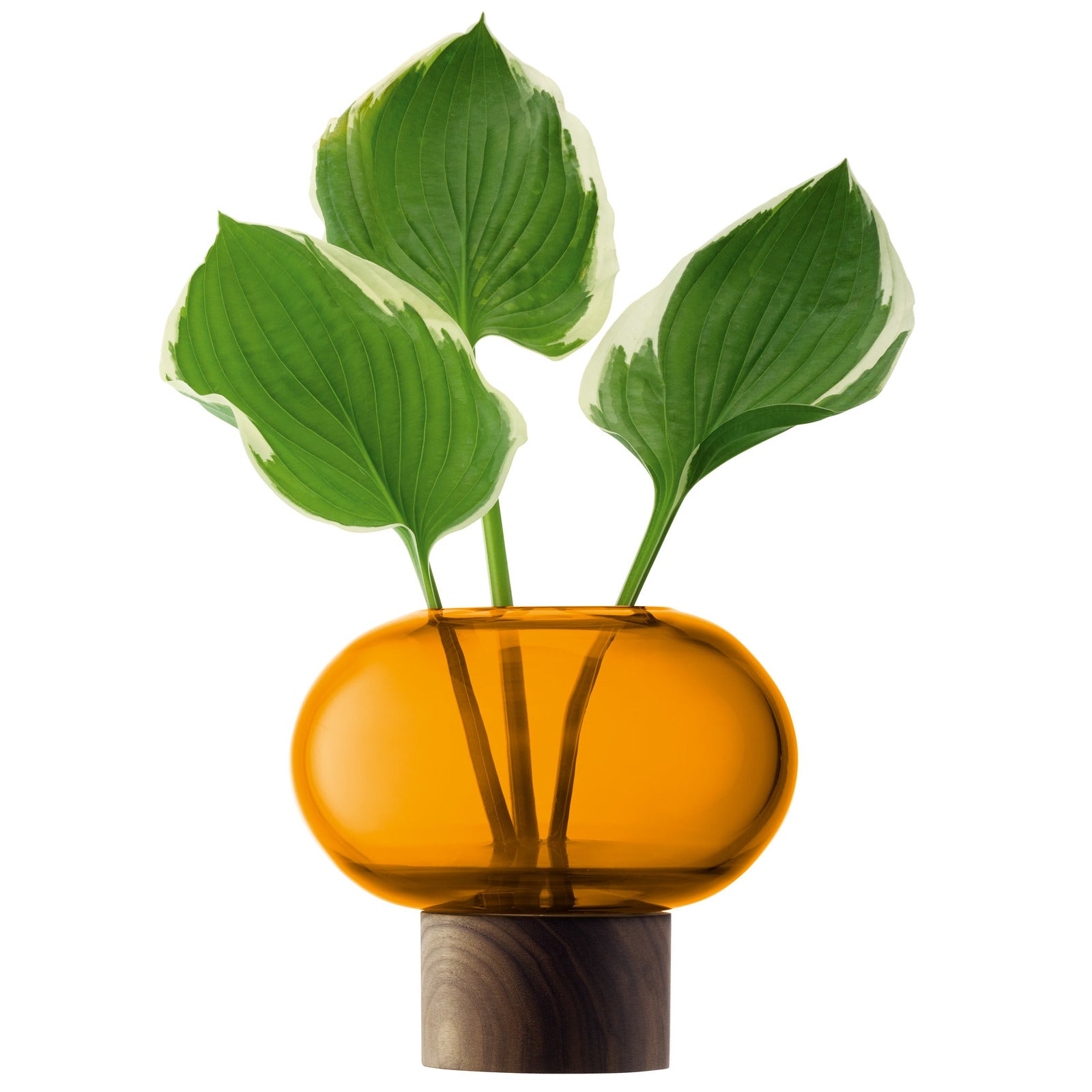OBLATE オブレート Vase H13.5cm（アンバー） / LSA international