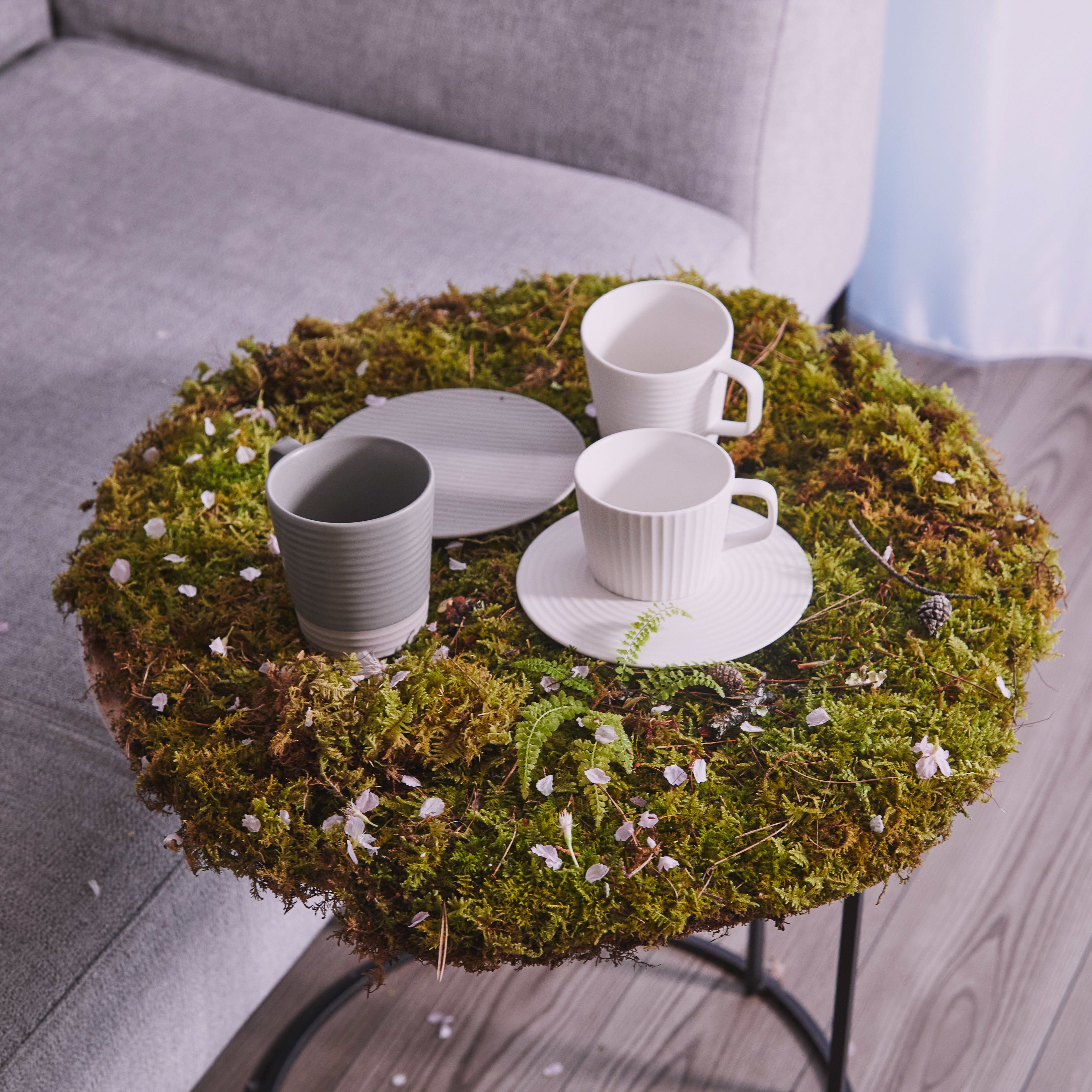 LIVING TALK cekitay セキテイ せん ティーカップ / Living Talk Decor