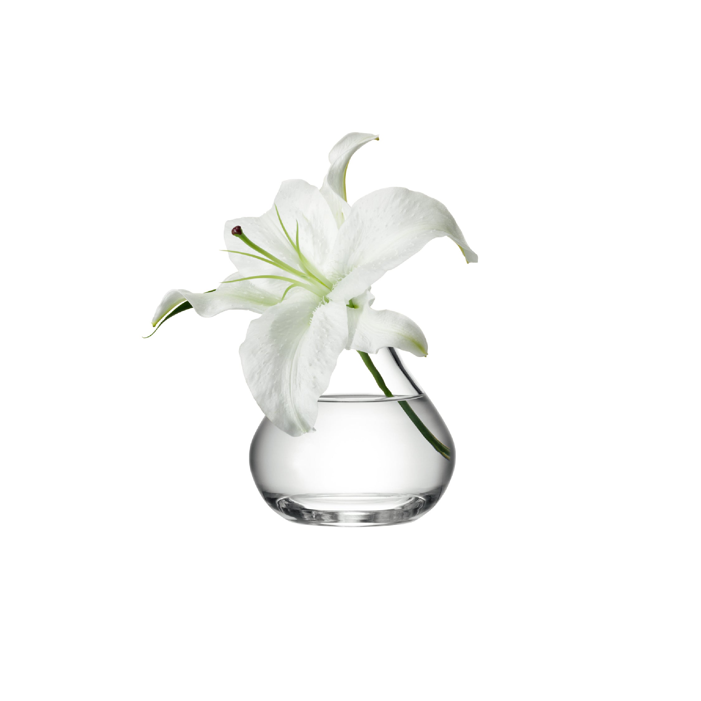 LSA FLOWER フラワー Sprig Vase 11cm / Living Talk Decor リビング 