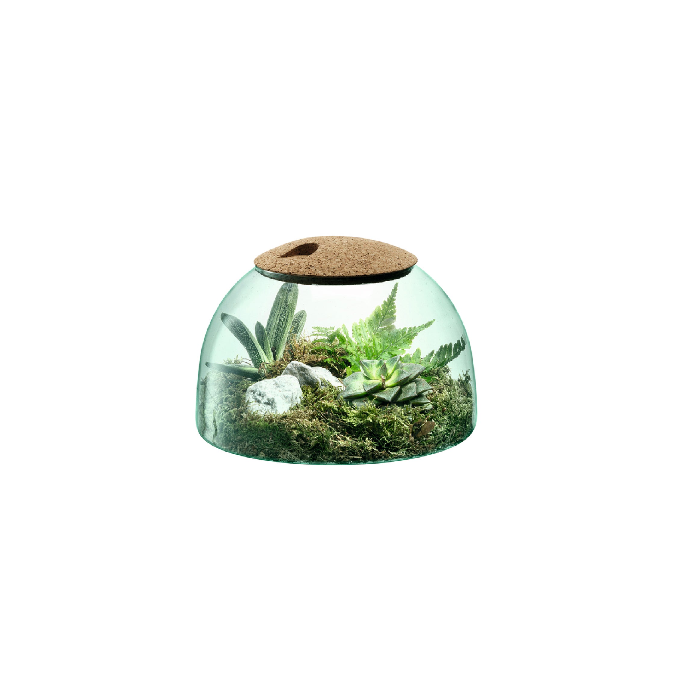 CANOPY キャノピーClosed Garden H16.5cm / Living Talk Decor