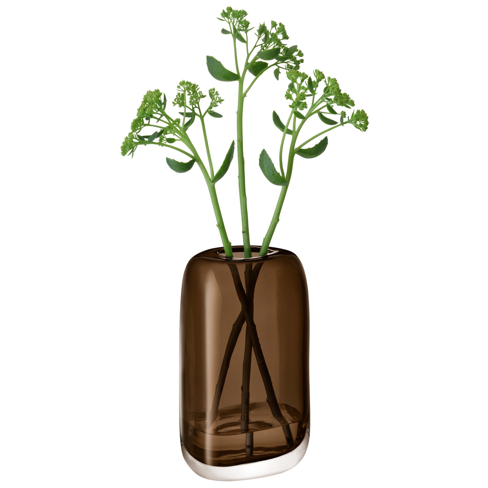 フラワーベース – ページ15 – Living Talk Decor フラワーベース – ページ15 – Living Talk Decor