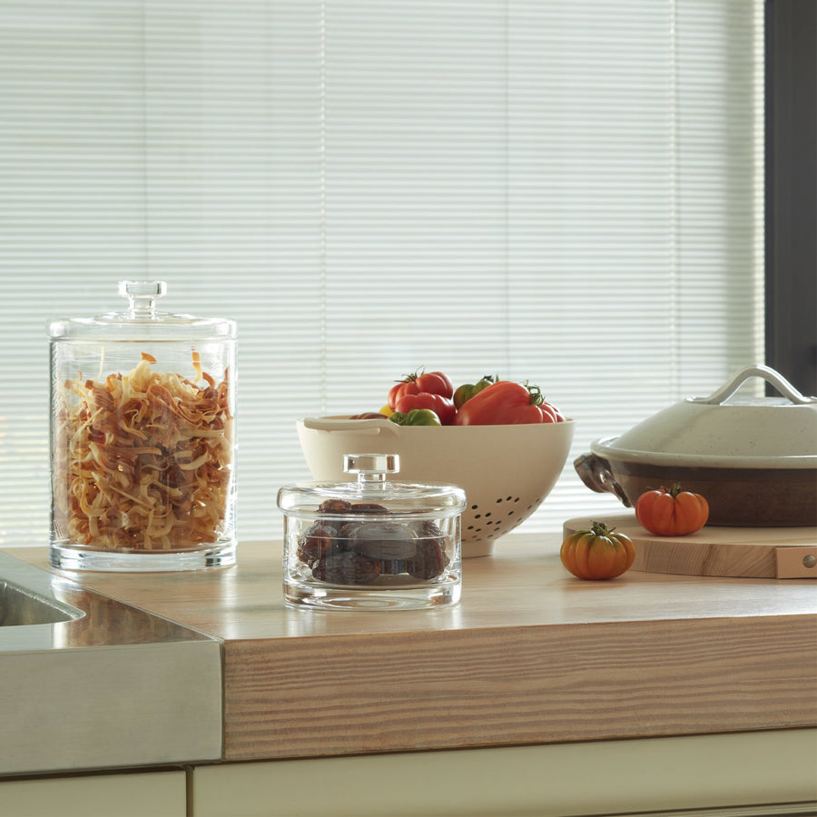 Maxi Container & Lid  H11cm