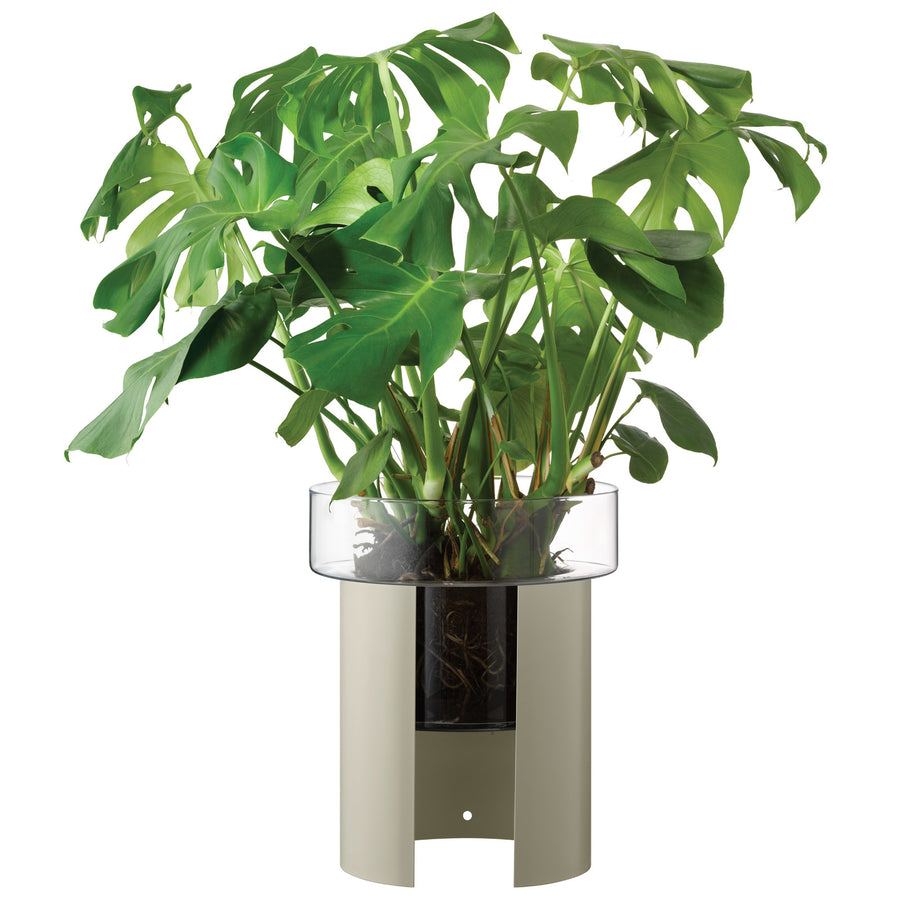 TERRAZZA テラッツァ Planter H45cm(Clear/Concrete Grey)