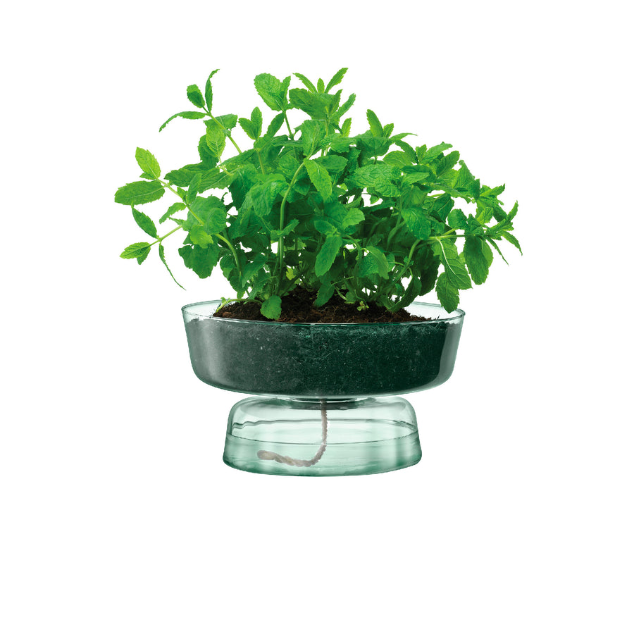 CANOPY キャノピーSelf Water Planter H14.5cm
