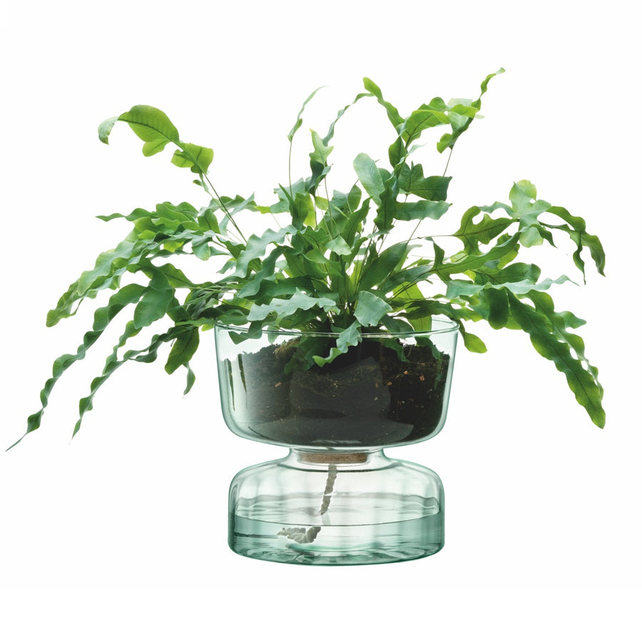 CANOPY キャノピーSelf Water Planter H22cm