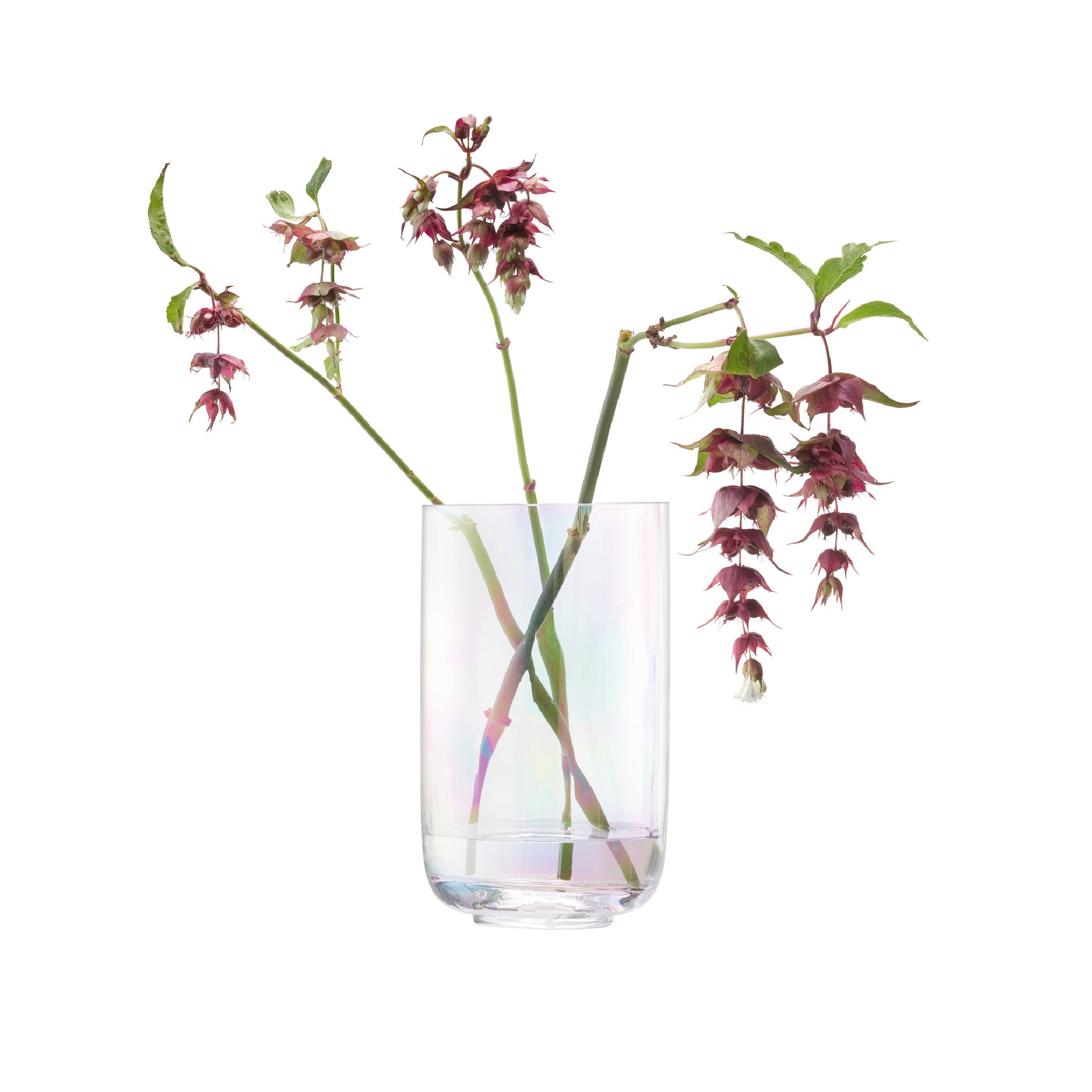 LSA LPE18G1161-16-916 PEARLパールVase H16cm LSA LPE18G1161-16-916 PEARLパールVase H16cm Vase H16cm